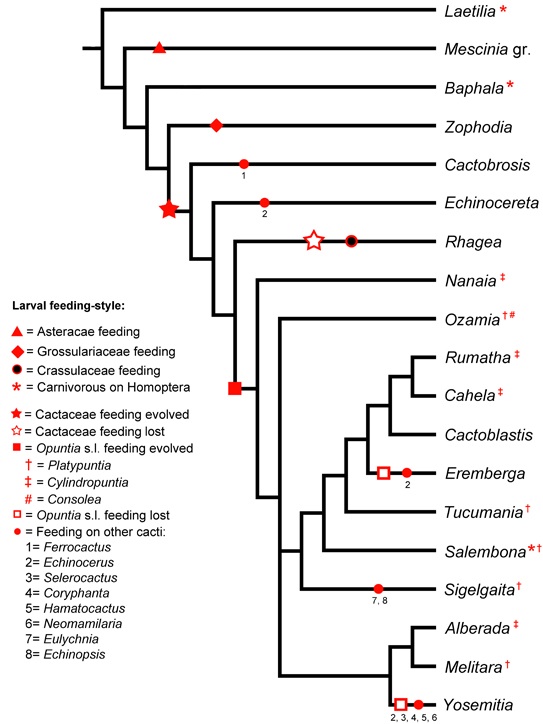 Host Plant Tree